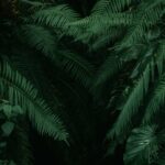 Conseil sur le design et l’expérience utilisateur de mon site web
