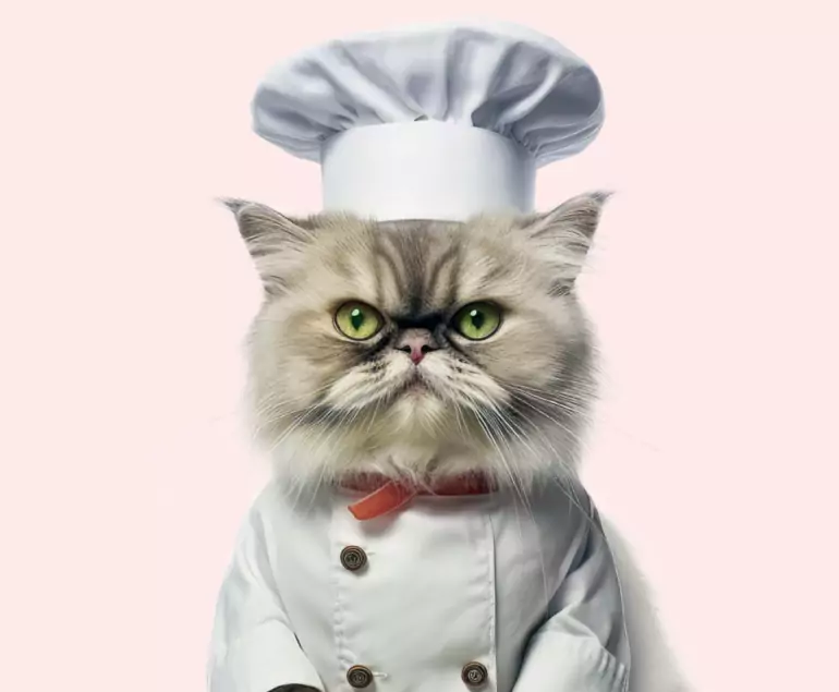 nourriture-vetinboves-alimentation-cercle-carre