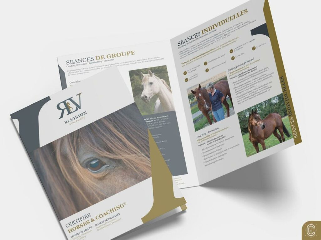 Plaquette de présentation de RL Vision