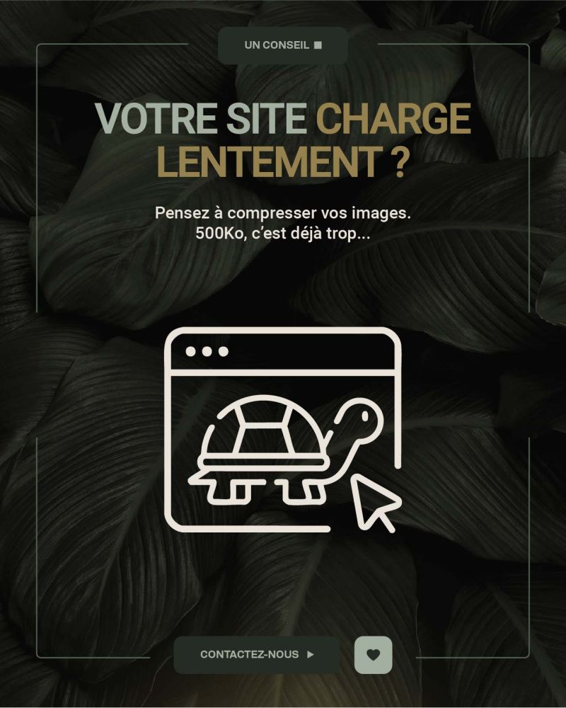 tips image cerclecarre - Comment optimiser les images de votre site internet sans perdre en qualité ?