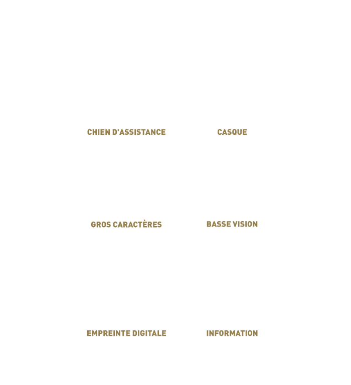 Ce qu'il faut savoir pour un site qui respecte l'accessibilité pictogramme - RGAA - Cercle carré