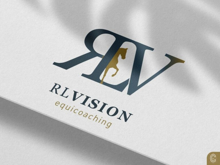 RL Vision